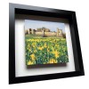 Frame Colour: Black Frame