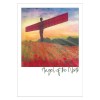 Angel of the North Poppies Postcard