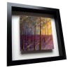 Bluebell Woods - Framed Tile