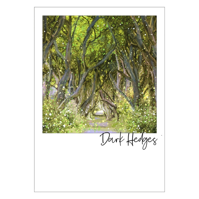 Dark Hedges, Ballymoney Postcard