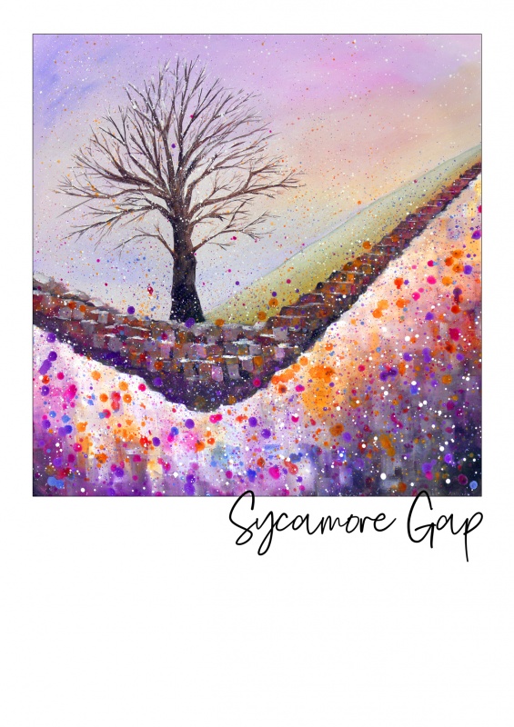 Sycamore Gap Snow Postcard