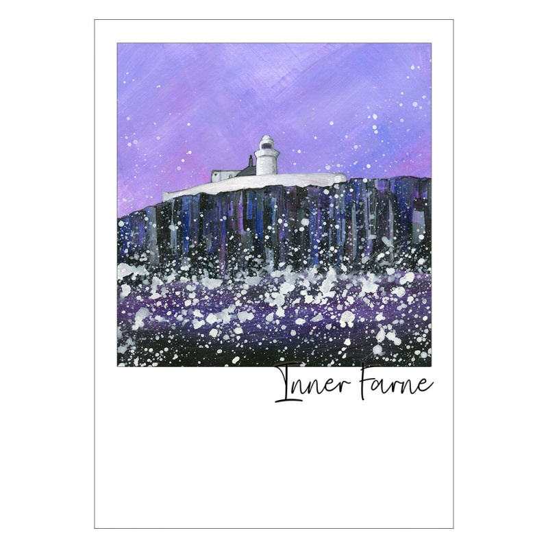 Inner Farne Island Postcard